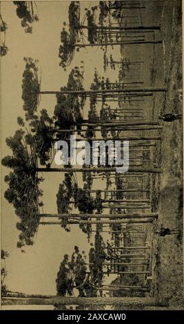 Autour et à propos de l'Amérique du Sud . e est une plage de mer exceptionnellement fine, qui est une faviteresidence avec les étrangers - est un petit fort délabré. Allaabout la baie s'élève des collines pittoresques, et la côte sur le trajet de Rio montre beaucoup de belles vues sur un personnage similaire.Nous avons pris le passage en Argentine, de la Hamburg SouthAmerican Steamship Company, un défroisseur propre, confortable, bien approvisionné, et bien commandé. En ce qui concerne les grands sommets vers le nord et vers l'ouest de Rio, je suis à une perte de décider si la vue est plus remarquable de l'océan ou de la baie. En tout cas, je me sens en sécurité en disant Banque D'Images