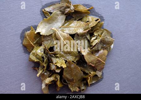 Vue sur le dessus des feuilles de thé vert humide. Soudage du thé vert chinois. Oolong de lait sur une planche noire. Banque D'Images