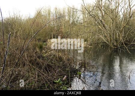 La Campagne du Hertfordshire est classée ceinture verte Banque D'Images