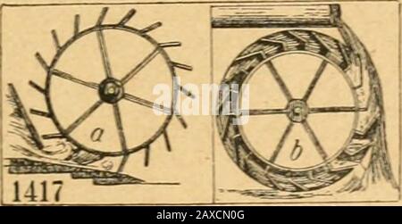 Quart-Lexikon, ein Buch für Jedermann . t)i)braut.Wörtei), f .^ement ÜJaffcrnuB, i. TI-apa. IlÖaffer»)cftiElodeacanadensis. Ana-ha-ris Alsiiiastumi, §i)=brod)aribaceen; ausJlmerifa 1836 ui uns ge»fomene SBatierpflanie,oermetjrt^ ftart, fobQB fie ber Sd)iffa^rtf)inberlid) werben nc fan(5ig. 1416.) aSJaffer^otfcit, F. O. n. Sdinbporfen. »IßaffcrtJoIarfen, bie polnijcfjen Cberf(^te=ner, fielntil) ^lößer. »ißaffer^robc (öerenmage), ein fogen. Éotlesurteü, bem ütö ehemals grauen 5 uunter=werfen Rotten, bie ber .üereret angeflngt toaren;jdjroain bieturmeintl.A^ere, galt üe für föculgögösgrand. SÖflffcrrai Banque D'Images