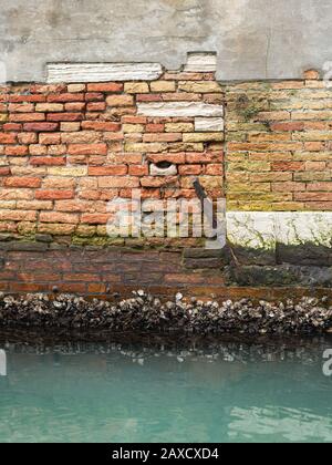 Un vieux mur de briques près de l'eau à Venise (Italie) Banque D'Images