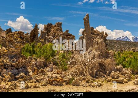 Formations rocheuses autour de Mono Lake. Lac de soude saline dans le comté de Mono, Californie, États-Unis. Banque D'Images