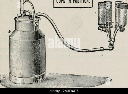 Le Journal du ministère de l'Agriculture, Victoria . ou de nouvelles plantations si ce n'est pas déjà fait. Il n'est pas souhaitable d'effectuer ce travail immédiatement avant la plantation. Les viticulteurs ont mis en garde contre les dix pratiques communes de nourrir le feuillage après le millésime. Tout petit avantage sous forme d'aliments pour animaux est seulement gagné au coût d'une récolte réductiondans les saisons suivantes, en raison de l'interférence avec l'accumulation de réserves, qui continue tant que les feuilles restent vertes. Les moutons ne doivent pas être allowedinto dans le vignoble tant que toutes les feuilles n'ont pas changé de couleur. Isstron de labour profond et Earl Banque D'Images