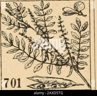 Quart-Lexikon, ein Buch für Jedermann . rcntc5f)crine«, F. Tineralmäffer. ^nbtffcrenj (lat.), (^leidigültigfeit, 3 uftanbclSidi=aufhebenl 2 er cntgegenrtenberftröfte.34-untt F. TTOagnetilmul. Snbigbittcr, F. l>itrinjäurc. Vtnbigblmi, F. 3 nbigo. ^nbigSn (lat.), einheimifd);C,9)n)ilbroaci)fenb,yät, StnatlangehiJrigfeit. ^nbigeftiun dat.), leidjter 50iagenfatarr^. 3 nbigc):traft, lift rcinel 3 nbigblau. ;^ibigirfa, ^ im ibigirfa. Sibirien, fällt in§nörbl. Feilmecr, 1391 km I. ^nbigit:atiojtdat.),5inger,etg; I ainenta,offielle 3iiamenftellg 0. (Körnern für ben jebelmal Banque D'Images