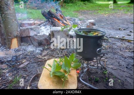 faire cuire du thé au feu, du thé au citron et à la menthe Banque D'Images