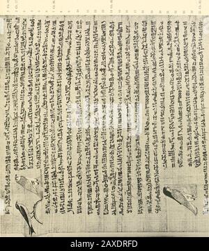 Papyrus funéraires de la XXème dynastie. M ch. 63. « u (:h. 82. I.21920 21222324 Papyrus de Nesikhonsou. Pi. XX. (L'A47 z (sortie 3 en 3 Fl. XXI XI > cuit^; Banque D'Images