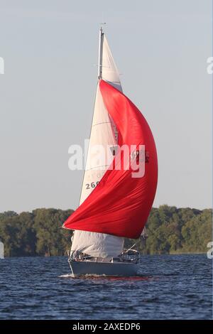 Course de bateaux sur la baie de Quinte Banque D'Images