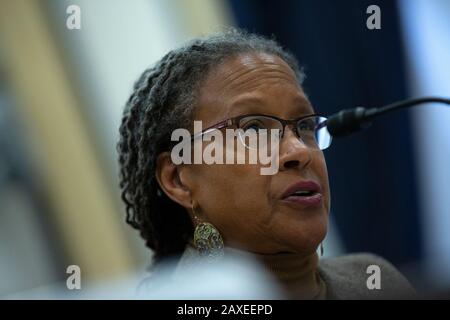 Lecia Brooks, Directrice De La Transformation Du Milieu De Travail Au Southern Poverty Law Centre, Aux Côtés De Heidi Beirich, Cofondatrice Et Directrice Générale De La Stratégie Au Projet Mondial Contre Le Haine Et L'Extrémisme, Et le Dr Mark Pitcavage, chercheur principal au Centre sur L'Extrémisme, témoigne devant le sous-comité du personnel militaire au Capitole des États-Unis à Washington, DC, États-Unis, le mardi 11 février 2020. Crédit: Stefani Reynolds/CNP | usage dans le monde entier Banque D'Images