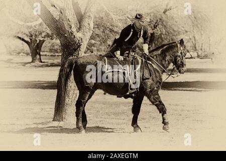 Renactor vêtu de l'uniforme du soldat de l'armée américaine des années 1880 à cheval de la 5ème Cavalerie à fort Lowell, Tucson AZ Banque D'Images