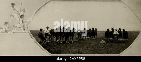 Des scènes intéressantes à Moose Jaw, en Saskatchewan : le centre ferroviaire canadien Pacifique le plus important du célèbre nouvel ouest entre Winnipeg et Calgary. . Breaking, District De Moose Jaw Protégé Par Les Droits D'Auteur De Lewis Kiif* Canada, Trop De Fureteur D'Été. Banque D'Images