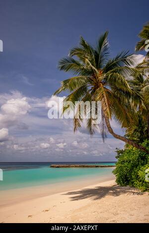 Une magnifique journée du ciel bleu avec des palmiers, du sable blanc et une mer turquoise à l'hôtel W aux Maldives Banque D'Images