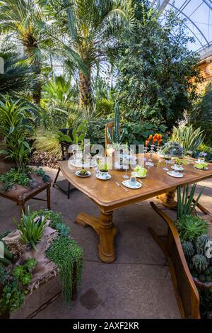Salle à manger avec table et chaises dans la Giant Houseplant Takeover, un événement tenu dans la Glasshouse à RHS Gardens, Wisley, Surrey, Royaume-Uni Banque D'Images