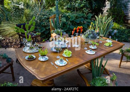 Salle à manger avec table et chaises dans la Giant Houseplant Takeover, un événement tenu dans la Glasshouse à RHS Gardens, Wisley, Surrey, Royaume-Uni Banque D'Images