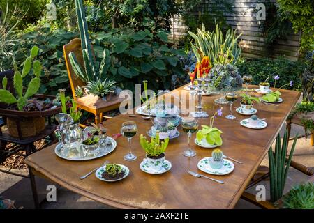 Salle à manger avec table et chaises dans la Giant Houseplant Takeover, un événement tenu dans la Glasshouse à RHS Gardens, Wisley, Surrey, Royaume-Uni Banque D'Images