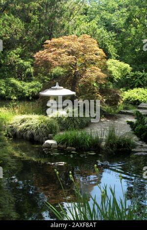 Paysage dans le jardin japonais au jardin botanique Lewis Ginger, à Richmond, va, États-Unis Banque D'Images