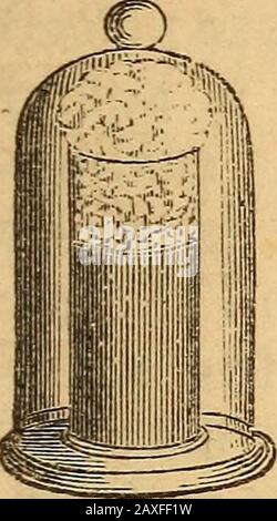 Un livre de texte sur chemistryFor l'utilisation des écoles et des collèges . INSPIRATION DES POISSONS. 251 Fig. 22 S. Banque D'Images