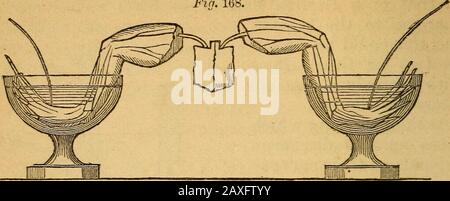 Un livre de texte sur chemistryFor l'utilisation des écoles et des collèges . 190 EXPÉRIENCES ÉLECTRIQUES. Fin. 168. Dans La Fig. 159 les contractions musculaires qui sont ex-Fig. 169. hibised par la langue d'un boeuf lorsqu'un courant est transmis à travers sont montrés. La langue est sortie, et un clou le drivenà travers dans la table. En portant un pôle de la batterieFig. ITO. Banque D'Images