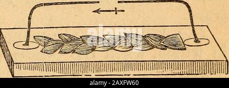 Un livre de texte sur chemistryFor l'utilisation des écoles et des collèges . Fig. 16 T. 190 EXPÉRIENCES ÉLECTRIQUES. Fin. 168. Banque D'Images
