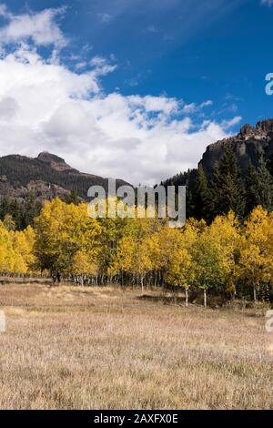 Le camping Cimarrona est situé au nord de Pagosa Springs Colorado. Des sentiers de randonnée s'enmènent du terrain de camping à Weminuche Wilderness. Banque D'Images