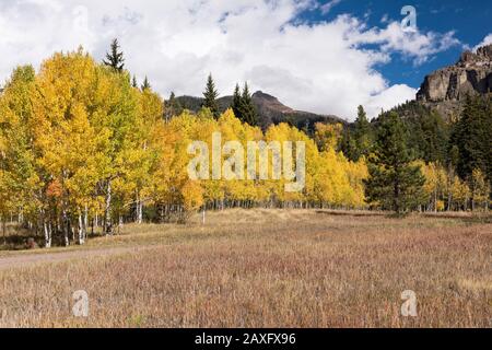 Le camping Cimarrona est situé au nord de Pagosa Springs Colorado. Des sentiers de randonnée s'enmènent du terrain de camping à Weminuche Wilderness. Banque D'Images