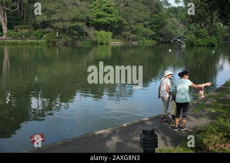 Deux femmes et un petit enfant marchant le long de la rive du lac Swan dans les jardins botaniques de Singapour, site classé au patrimoine de l'UNESCO ; Singapour Banque D'Images