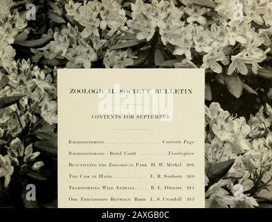 Bulletin de la Société zoologique . Samuel Tiorne, Henry A. (. Taylor,Hugh J. Chisholm, Emerson McMillin,Anthony R. Kuser,Watson B. Dickerman,Mortimer I. Schiff. Grt B. Schley, Wm. Pierson Hamilton, Rorert S. Brewster, Edward S. Harkness. Frank K. Sturgis, George J. Gould, Ogden Mills, Lewis Rutherfurd Morris. (Fixecutibe Committee Madison Grant, Président. Percy R. Pyne, Samuel Thorne, Levi P. Morton, Lispenard Stewart, William White Nh.es, Wm. Pierson Hamilton, Frank K. Sturgis, Henry Fairfielp Osrohn, Membre D'Office. Officiers généraux WlLLIAM T. Hornaday, directeur du parc. Charles H Townsend, directeur o Banque D'Images