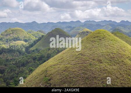 Paysage de Chocolate Hills, l'attraction touristique la plus célèbre de Bohol, Philippines Banque D'Images