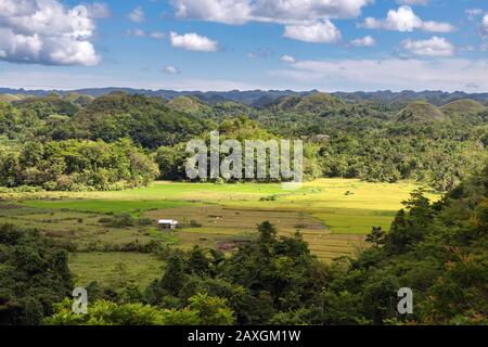 Paysage de Chocolate Hills, l'attraction touristique la plus célèbre de Bohol, Philippines Banque D'Images