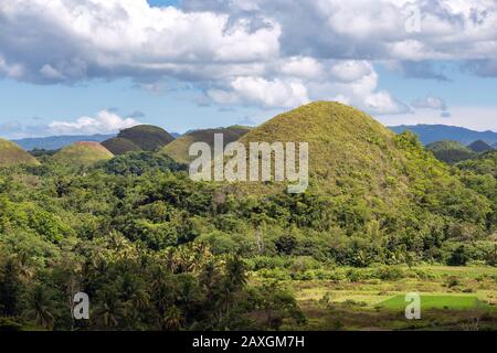 Paysage de Chocolate Hills, l'attraction touristique la plus célèbre de Bohol, Philippines Banque D'Images