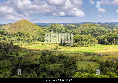 Paysage de Chocolate Hills, l'attraction touristique la plus célèbre de Bohol, Philippines Banque D'Images