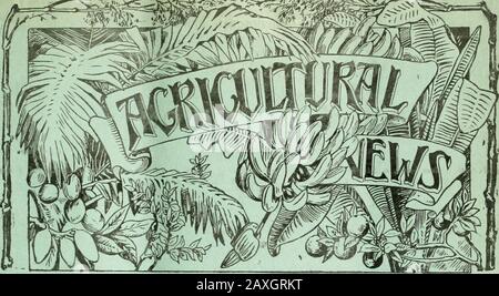 Agriculture news . Wing ont été nommés agents pour le .sale Londres: Me.ssrs. Dul.Ui I Co., 37, Soho Square, W. West India Committee, 15, Seething Lane.Barbados: Advocate Co. Ltd., Br&Gt;Ad Street, Bridgetown.Jamaica: The Educational Supply Company, 16, King Street, Kingston.British Guyane: The Akuosy Co..... Ltd., Georgetown.Trinidad: Mm. Muir-Marshalt. &lt;fe Co., Port-of-Spain.Tobago: M. C. L. Plagemann, Sctrborough. Canada: Lewii* W. Clemens, 8 des publications du Ministère;— Grenade: MM. Thos. Lawlor tk Co., St. GJeorge. Saint-Vincent: M. J. 0 Bonadie, Times Office. St. Banque D'Images