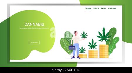 homme d'affaires tenant cannabis feuilles de chanvre plantes poussant sur des piles de pièces de monnaie marijuana entreprise drogue consommation concept pleine longueur copie espace horizontal illustration vectorielle Illustration de Vecteur