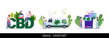 mettre les gens utilisant de l'huile de chanvre cbd livrant de la marijuana acheter médical cannabis consommation concepts collection plate pleine longueur horizontale illustration vectorielle Illustration de Vecteur