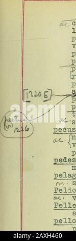 Une concordance critique avec les hercules furens de Seneca . P^cn^U»^ ^™ £pavidos...populos HP 295^ pavidos manes HP 765 pavidas matres HP 1284 (pavidam matrem E)-Pavor Pavor... /sequitur HP 693pavou squicquid... /finvoris HP 655pax pax...fida...erit HP 575pas est Herculea manu HP 882alta pax gentes alat HP 929(pax errorum de Wilamowitz) HP 1072pacis auctorem suae HP 250paoem reduei velle...expedit HP 568Pace sulata HP 29paee rupta HP 416pectus tumultu pectus...carens /mutavit iras HP 1219(v-n-••pectus o nimium ferum HP 1226nivei vineula pectoris IIP 545pectorpec est HP 974974 Banque D'Images