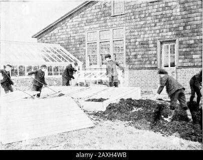 Comment faire de la maison et de la ville belle, préparé pour aider ceux qui veulent faire des maisons attrayantes et de belles villes . de que les fenêtres sont longues. Les bords des planches doivent être rabotés, selon la pente, de sorte que la laque s'adapte exactement. Si le lit doit rester en permanence, il peut être articulé à l'arrière, ou, s'il y a de la place, il peut glisser. Il est nécessaire de mettre des étrésillons de l'avant à l'arrière du lit, et il est bien de les mettre tous les trois pieds, sothe sash peut reposer sur eux. Le haut d'eux devrait être très bien ou très bien, même avec le haut du cadre. Deux bandes de quatre pouces doivent être utilisées avec Banque D'Images