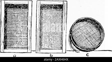 Comment rendre la maison et la ville belle, préparé pour aider ceux qui souhaitent rendre des maisons attrayantes et de belles villes . à quatorze semaines après la plantation. Oignons. Les oignons forment une véritable ampoule et sont utilisés en médecine ainsi qu'à des fins de table. Semer les graines comme des écouteurs le sol peut être soigneusement préparé. Hoe a littleme ou soufre dans le sol où la rangée doit être. Makea sillon un pouce, et appuyer sur les graines avec le panneau ou bloc aflat. Lorsque les petites plantes sont de trois pouces, les fines hautes à trois pouces d'écart. Persil. Il est cultivé pour les feuilles qui s'afine et la féarerie dans un Banque D'Images