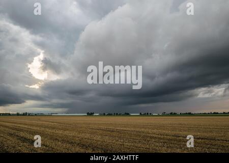 Nuages sombres sur un wheatfield en Hollande Banque D'Images