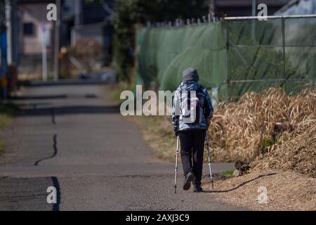 Une femme japonaise plus ancienne utilise des bâtons de randonnée pour marcher dans les zones rurales près de Yamato, Kanagawa, Japon. Banque D'Images