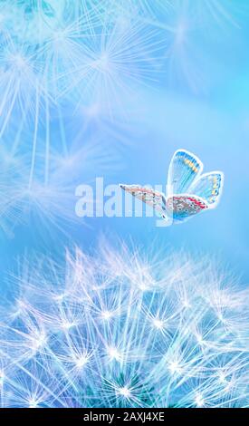De belles graines de pissenlit boulant et papillon sur fond bleu clair vertical. Tons pastel doux. Espace de copie. Macro avec mise au point douce. Délique Banque D'Images