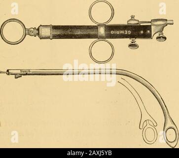Maladies de la gorge et des voies nasales; un guide pour le diagnostic et le traitement des affections du pharynx, des sophages, de la trachée, du larynx et des nares . ations. En cas de besoin d'un succès, il est possible que l'on s'en suive avec une hémorragie à envisager, qu'on dissimule le champ d'opération et qu'on prévoie une manipulation plus poussée à l'époque. Une telle procédure, par conséquent, est plutôt imprudente.Les Grognements dans le ventricule du larynx peuvent nécessiter la division de la bande ventriculaire par le couteau, afin d'amener le themin à portée des pinces. Ciseaux ou pinces à lame (Fig. 16 Banque D'Images