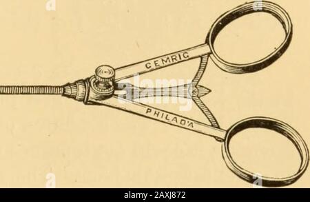 Maladies de la gorge et des voies nasales; un guide pour le diagnostic et le traitement des affections du pharynx, des sophages, de la trachée, du larynx et des nares . -•V Fig. 148.—Durhams forceps flexibles. Bobine spiralée flexible de fil,1 qui permet l'expansion des lames de la forceps, ou qui les dépasse selon les poignées séparées ou approxées. Itsflexibilité permet de plier l'instrument à la forme souhaitée (Fig. 148). Les pièces en contact qui n'offrent aucune résistance à l'introduction de l'instrument sont admirablement adaptées pour une utilisation dans le larynx, le pharynx ou les passages nasaux. Banque D'Images