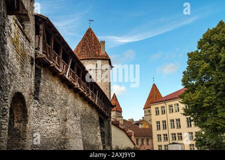 Vue sur les murs en calcaire protégeant la vieille ville de Tallinn - mur de défense avec balcon en bois. Vue sur la vieille ville européenne et scandinave de Tallinn. Unesco Banque D'Images