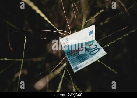 20 euros dans l'herbe au coucher du soleil. Concept de finances et d'économie. Banque D'Images