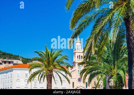 Croatie, belle ville de Split, palmiers sur la promenade Riva et clocher de la St François église Banque D'Images