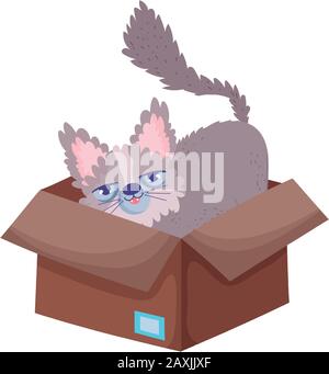 chat assis dans une boîte en carton abandonné dessin vectoriel d'animaux de compagnie de dessin animé Illustration de Vecteur