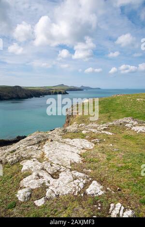 Vue depuis les falaises au-dessus d'Aberiddy, Pembrokeshire, Pays de Galles. Banque D'Images