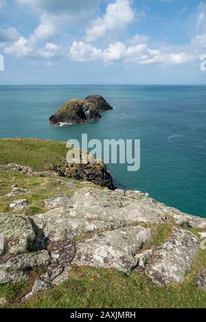 Vue des falaises au-dessus de la plage de Traeth Llyfn près d'Aberiddy, Pembrokeshire, Pays de Galles. Banque D'Images