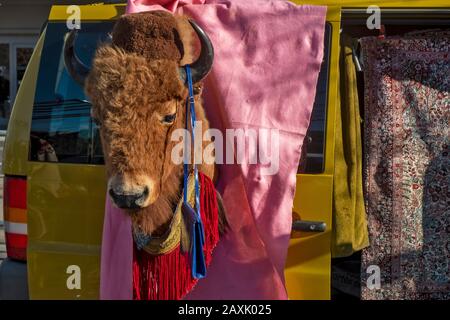 Tête de bison naturalisée sur le marché aux puces de Genève, Suisse Banque D'Images