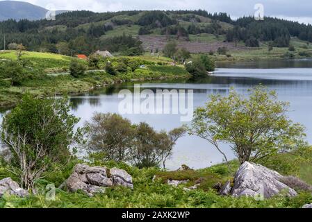 Vue sur le lac Looscauunagh (Lough/Loch) depuis son extrémité sud en direction des montagnes lointaines, parc national de Killarney, Ring of Kerry, Irlande Banque D'Images