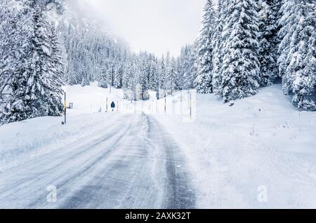 Route verglacée à travers une forêt enneigée dans les montagnes lors d'une journée d'hiver brumeuse Banque D'Images
